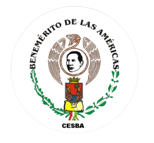 Plataforma  Virtual