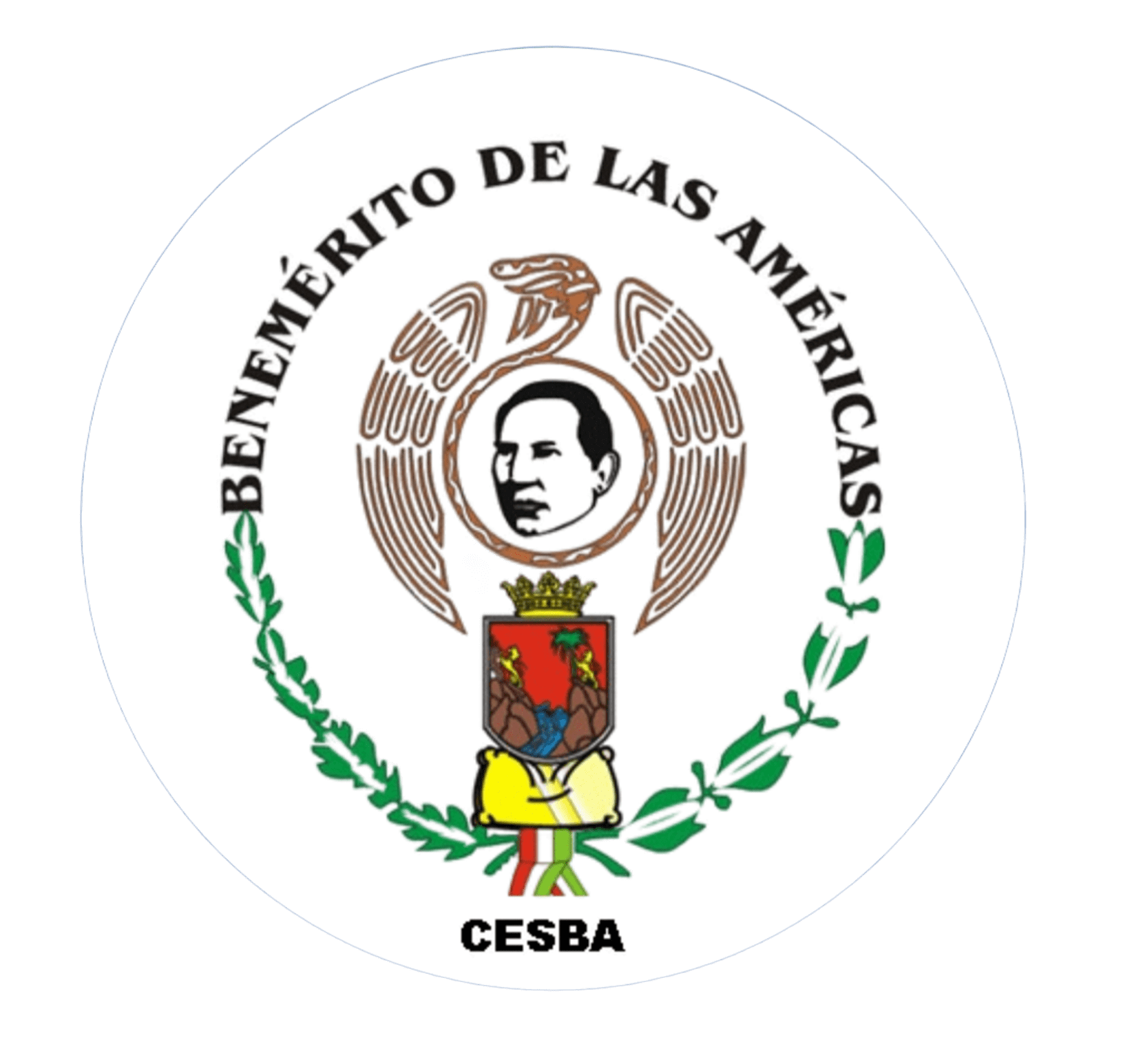 Plataforma  Virtual